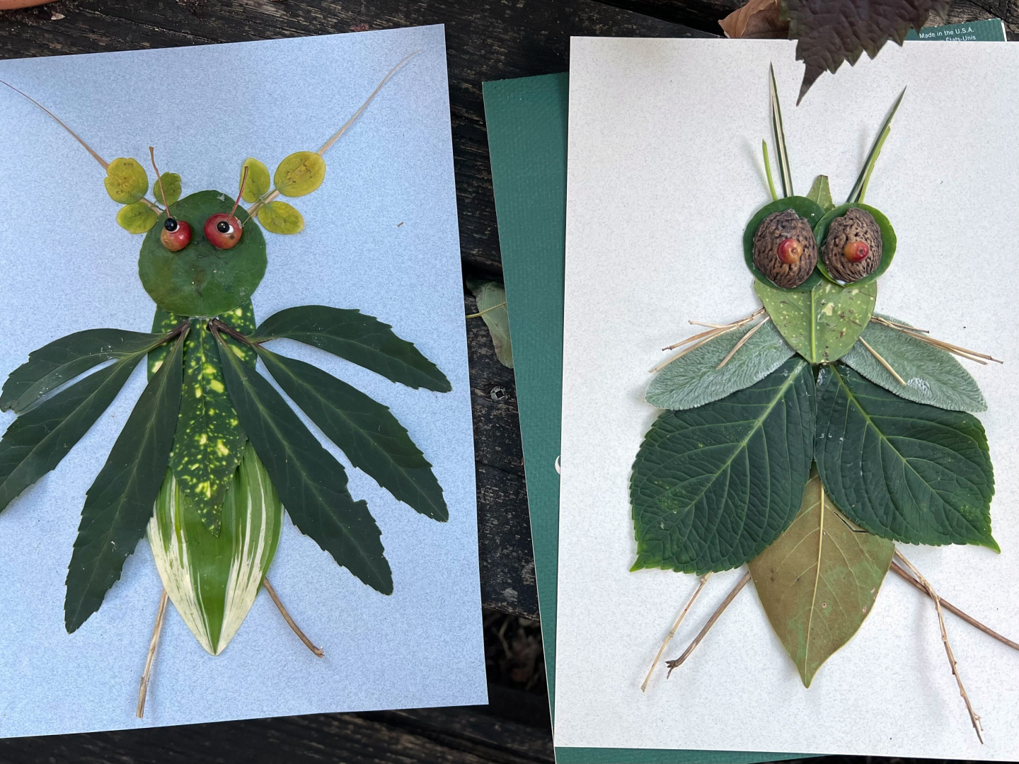 Two pieces of paper with insect creatures made of leaves, twigs, and berries