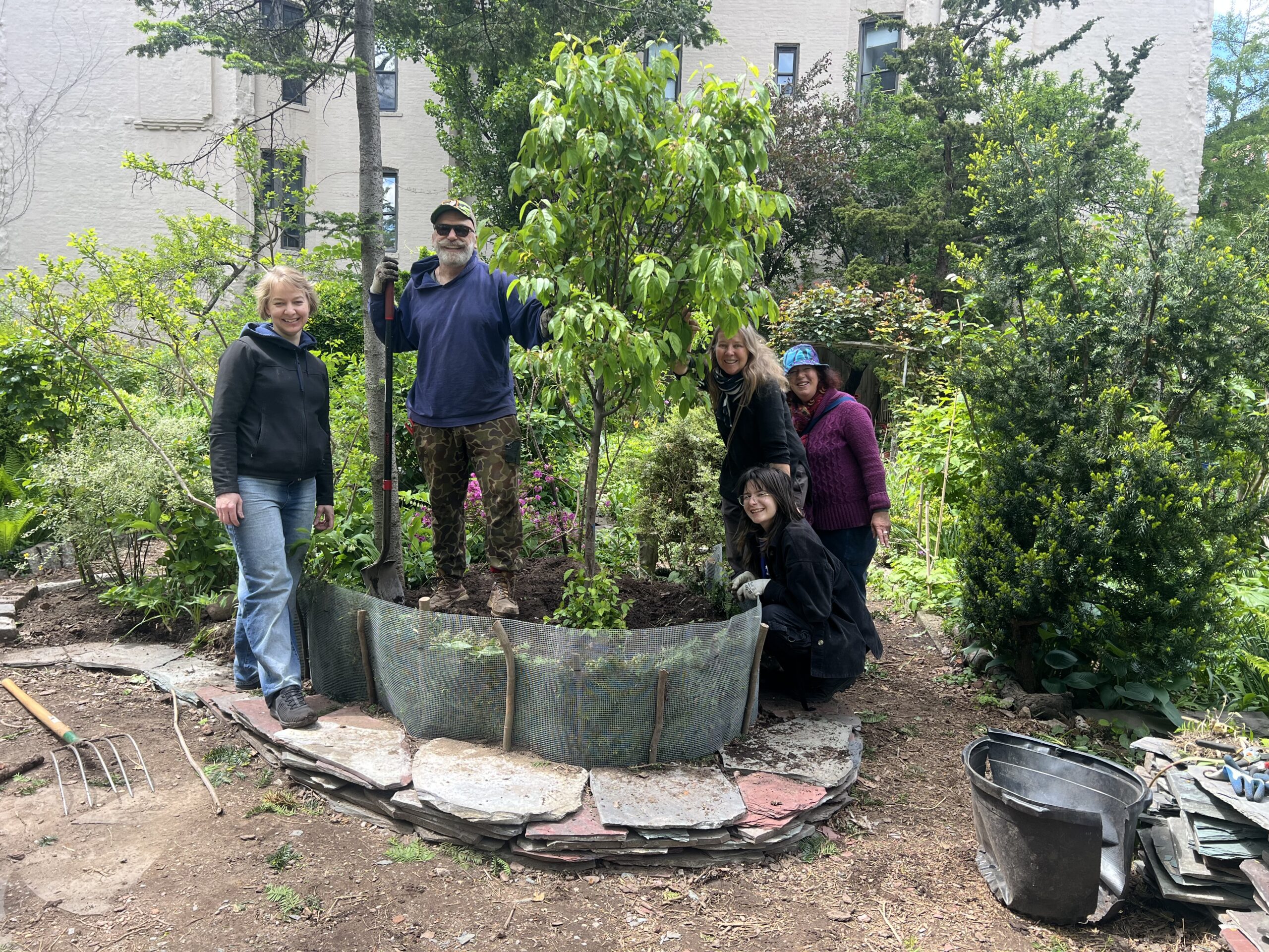 Five gardeners stand around the new crabapple tree immediately after it was planted.