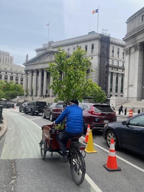 Passing in front of the New York Supreme Court on Centre Street.