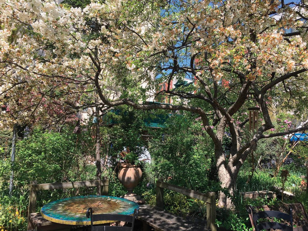 The garden's previous crabapple tree, in full bloom with light pink blossoms, growing over benches and a round table painted with the sun on it.